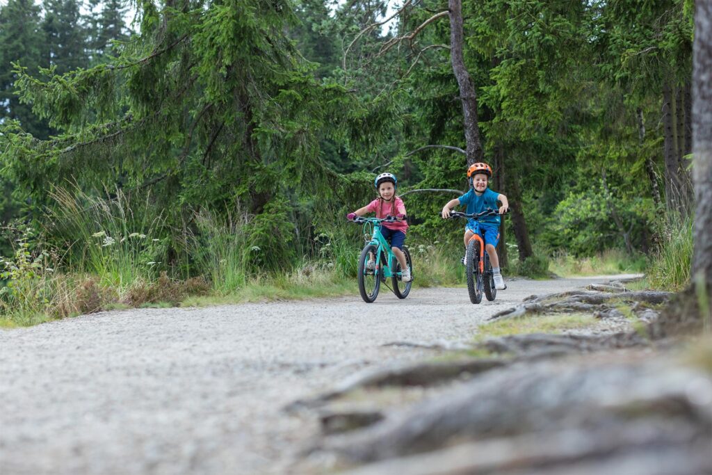 Apprendre à faire du vélo