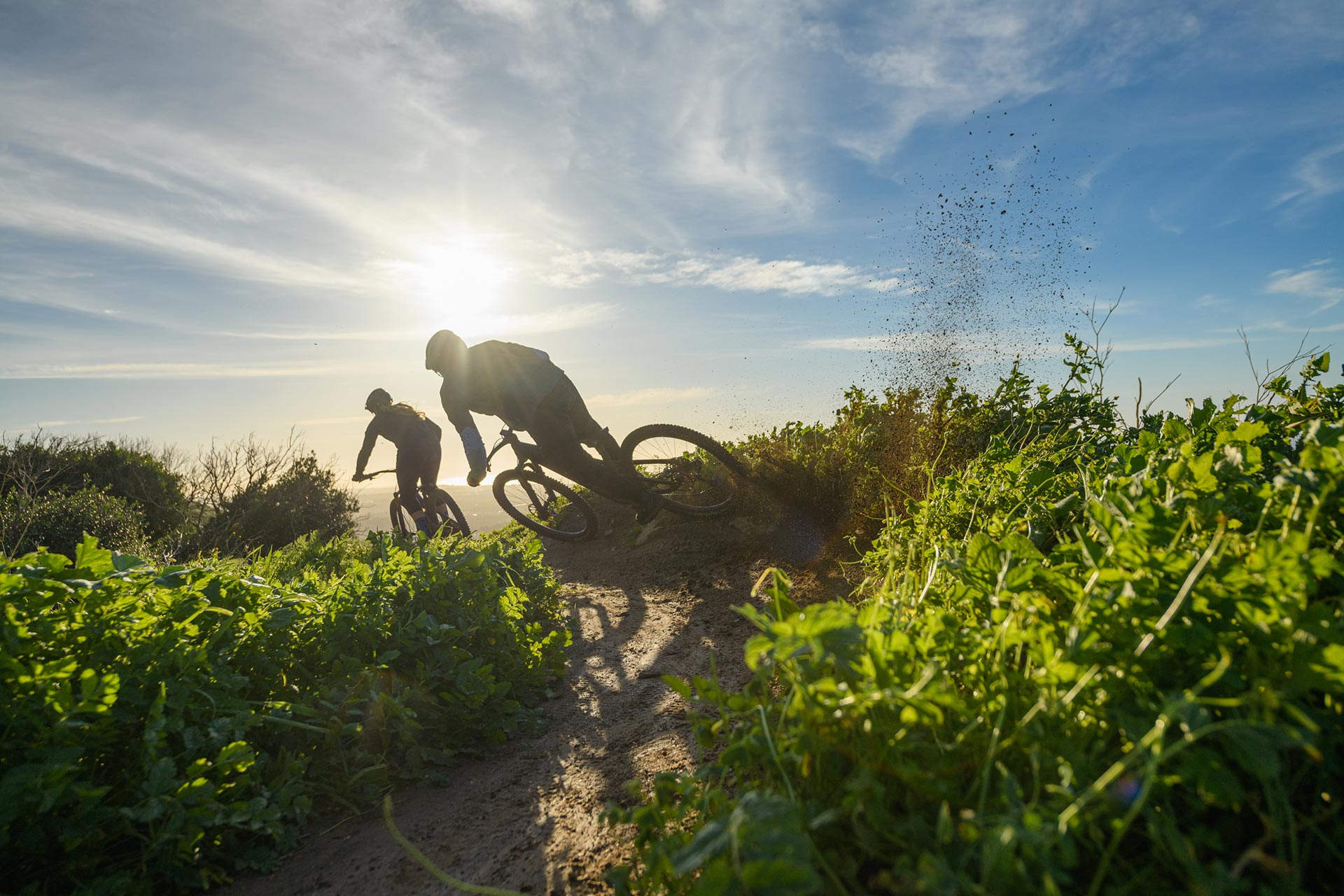 Comment choisir le meilleur VTT pour vos besoins et votre budget