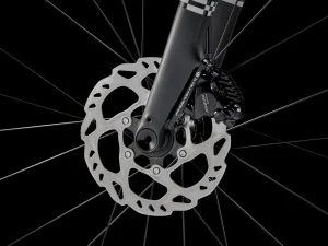 domane al 5 gen 4