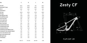 zesty cf 10.9