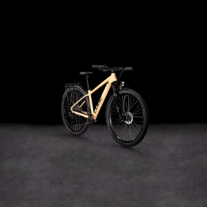 aim race allroad