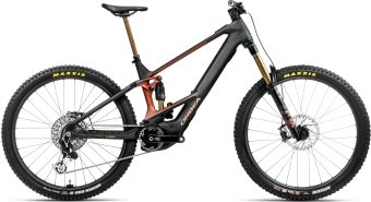 WILD M-LTD