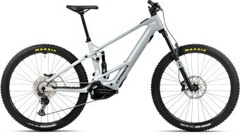 wild st h30