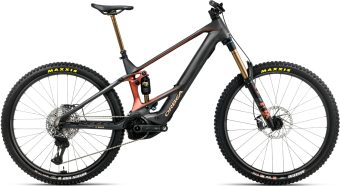 wild m ltd