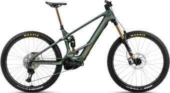 wild m ltd