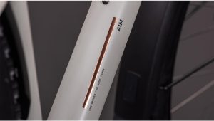 aim pro fe