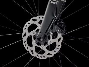 domane al 5 gen 4