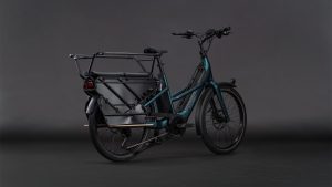 longtail hybrid family 800