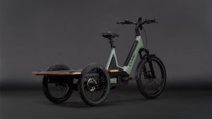 trike flatbed hybrid 750