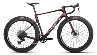 terra race m31eltd 1x