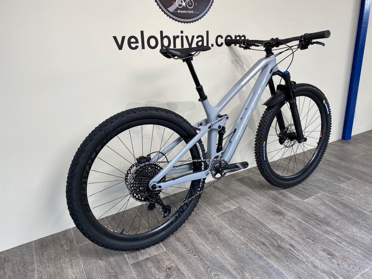 2019 trek fuel ex 9.8 29